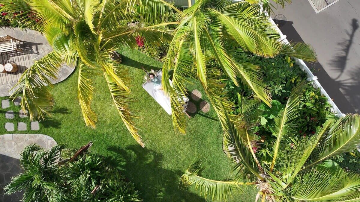 Photo of Outdoor in Makaha Valley