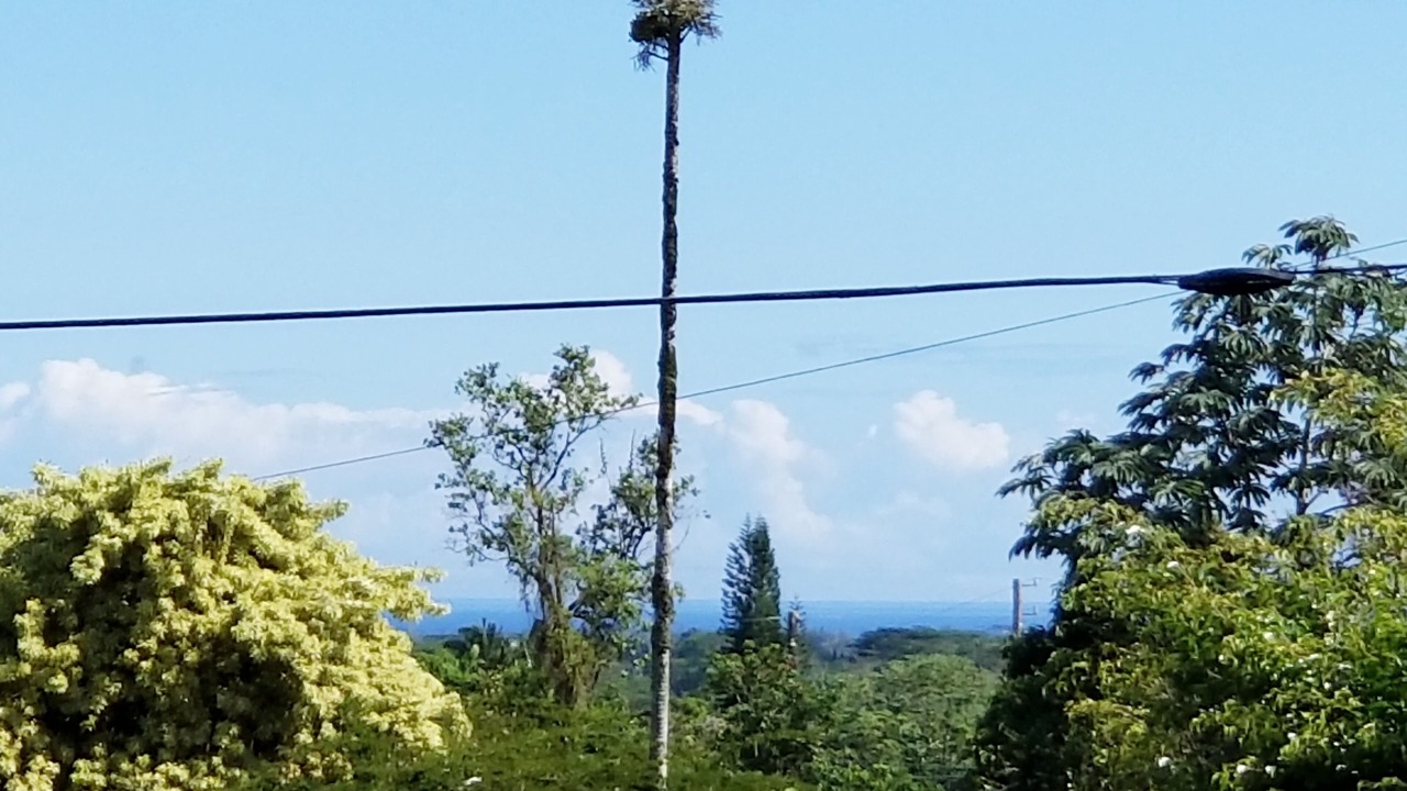 Photo of Others in Keaau