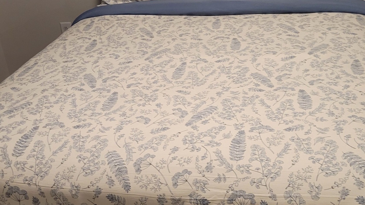 Photo of Bedroom in Northeast Raleigh