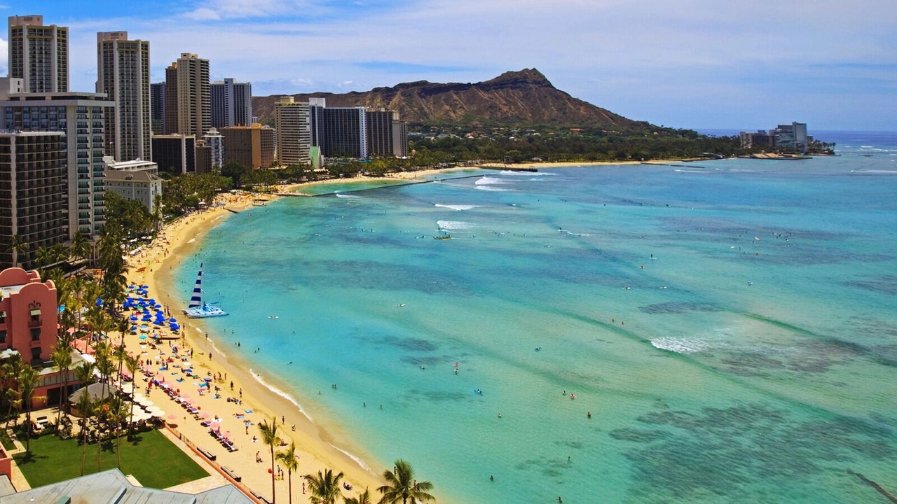 Photo of Others in Honolulu