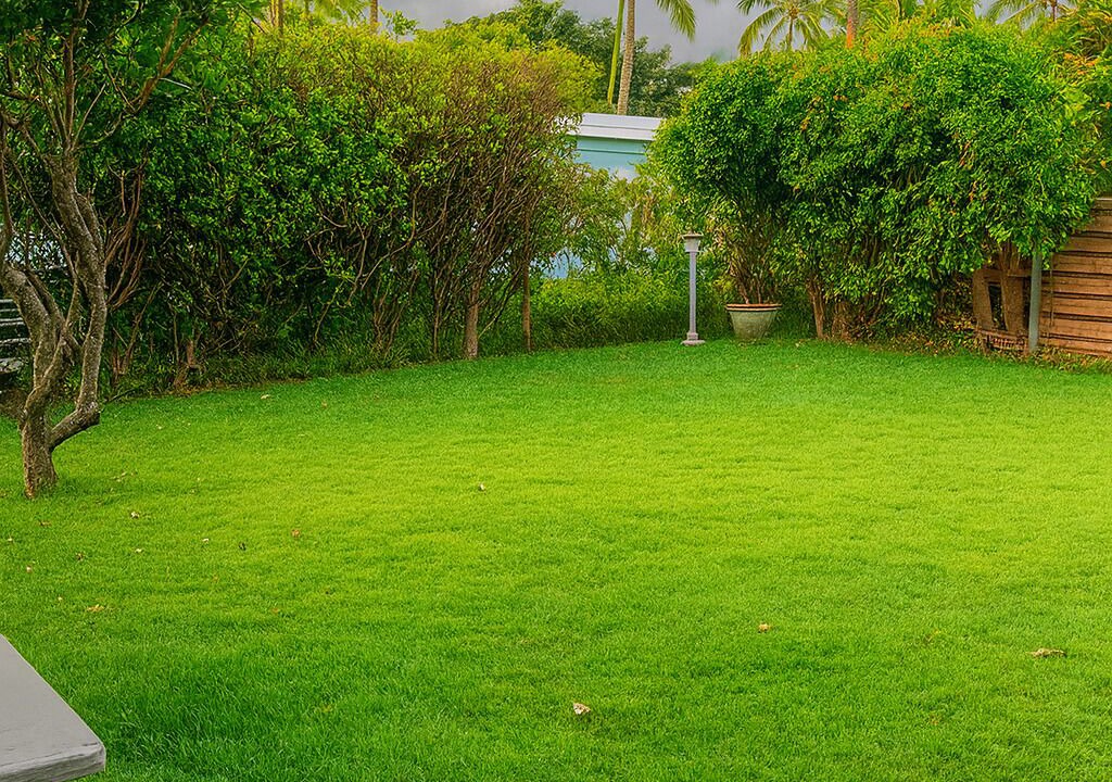 Photo of Others in Hauula