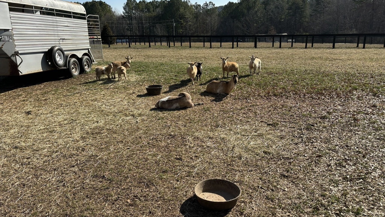 Photo of Outdoor in Tryon