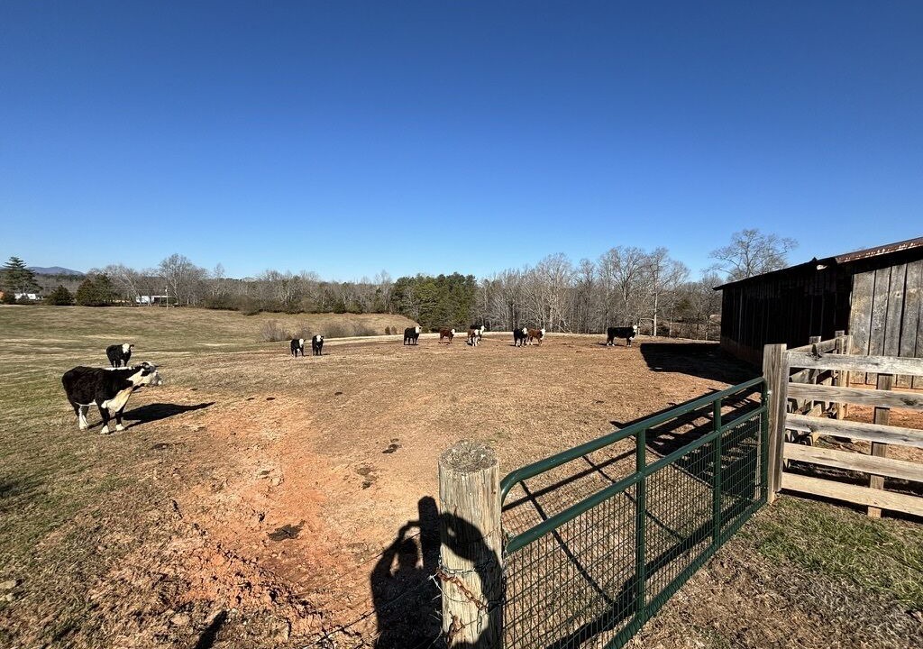 Photo of Outdoor in Tryon