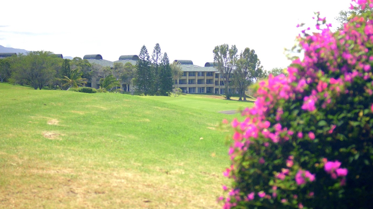 Photo of Others in Waikoloa