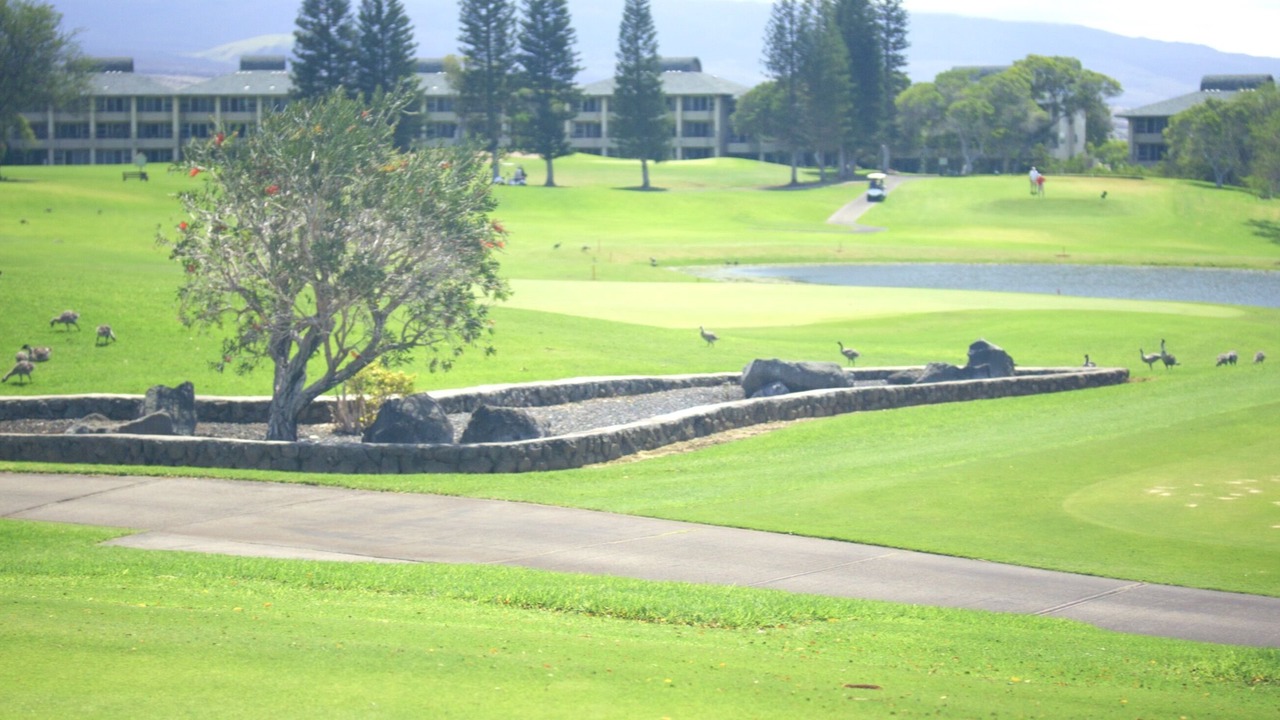 Photo of Others in Waikoloa