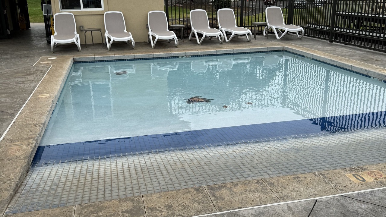 Photo of Outdoor in Waikoloa