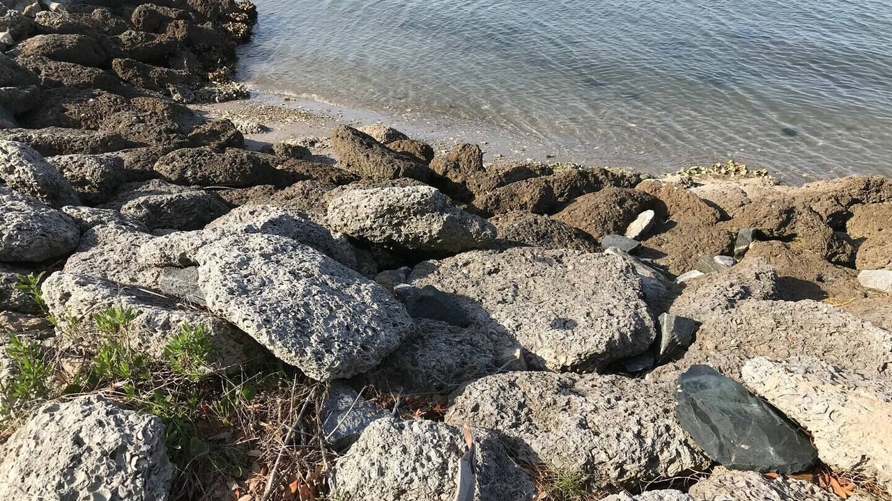 Photo of Others in Salter Path