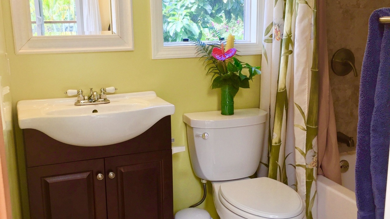 Photo of Bathroom in Pahoa