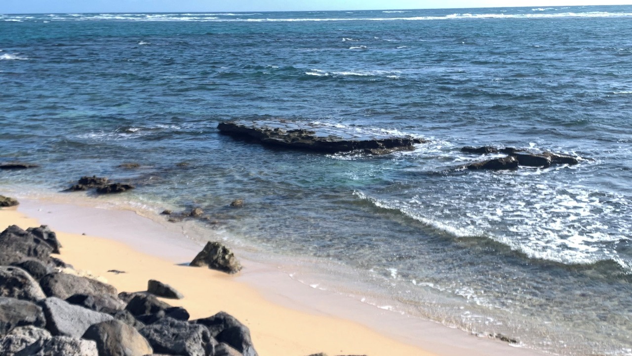Photo of Others in Ka'a'awa