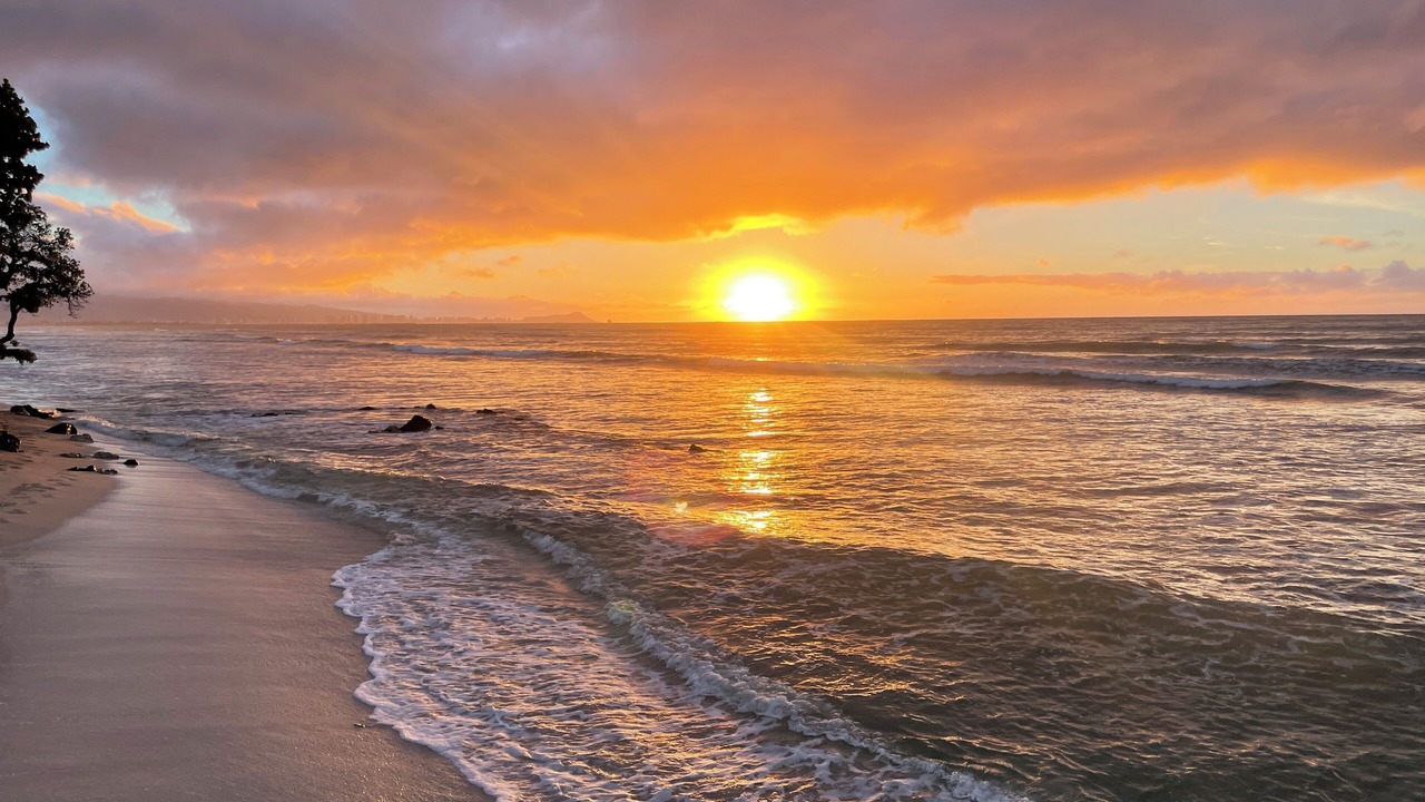 Photo of Others in Ewa Beach