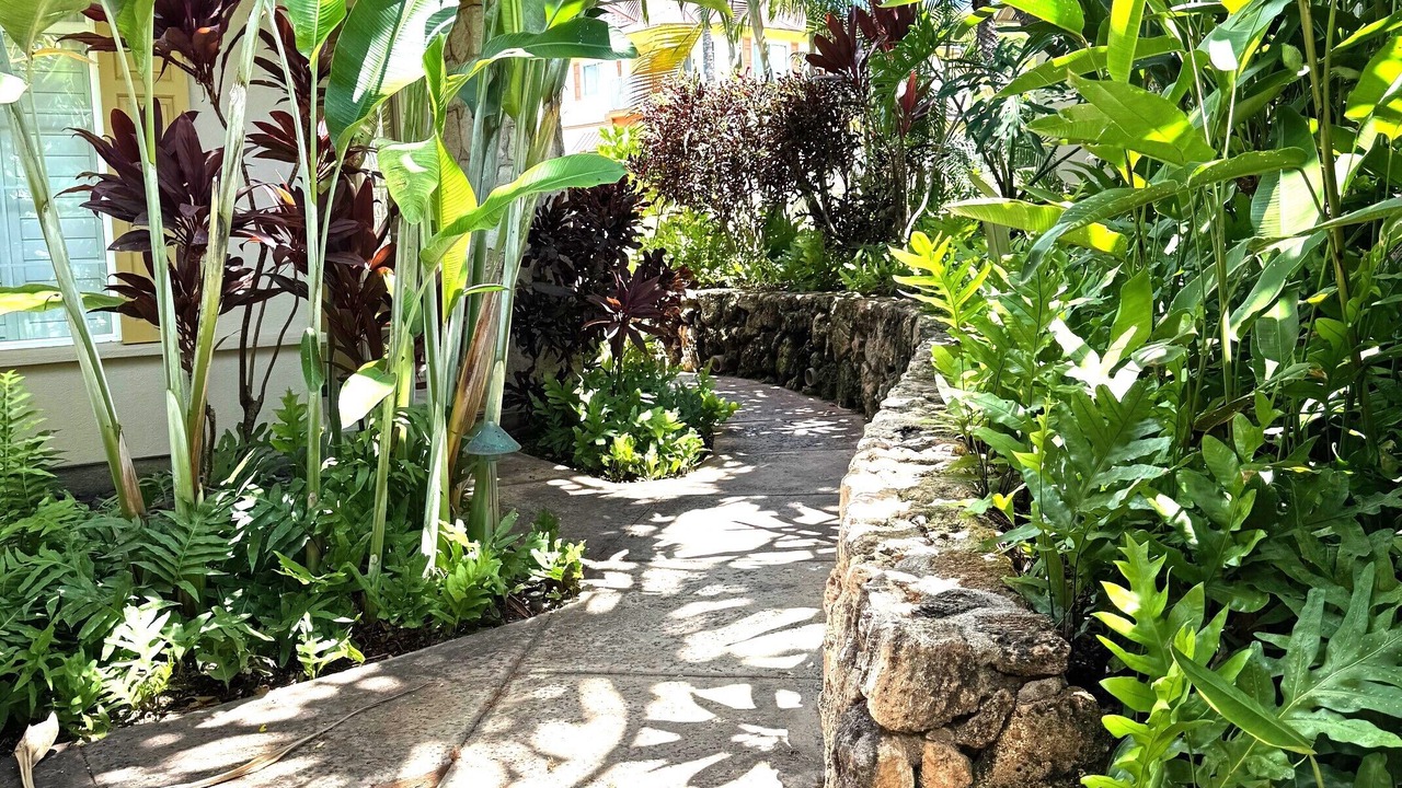 Photo of Outdoor in Ko Olina