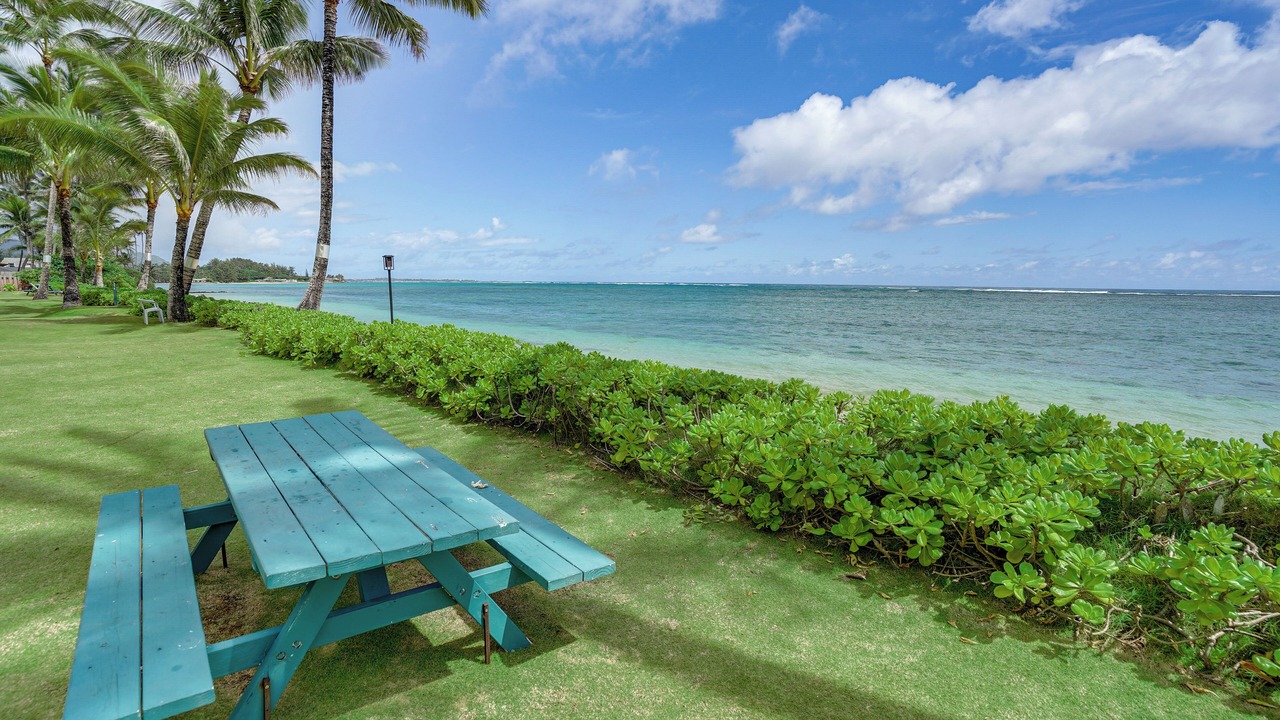 Photo of Outdoor in Punaluu