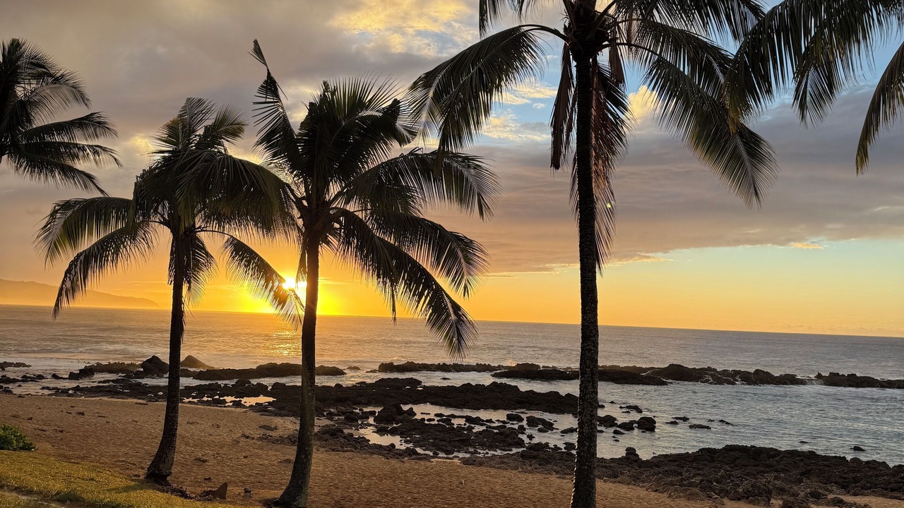 Photo of Others in Kahuku