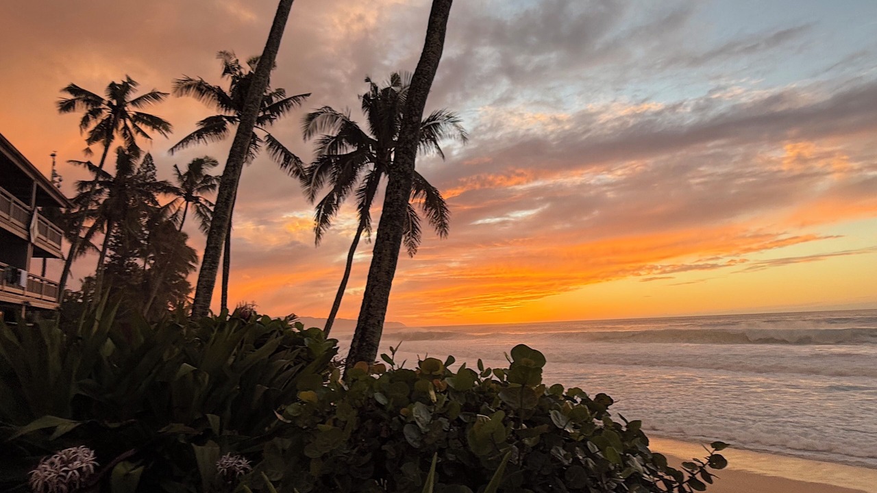 Photo of Others in Kahuku