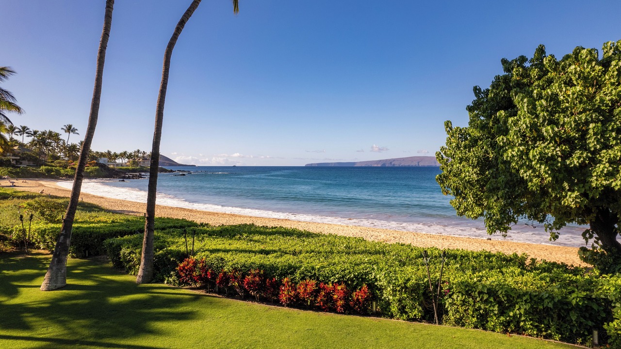 Photo of Others in Wailea