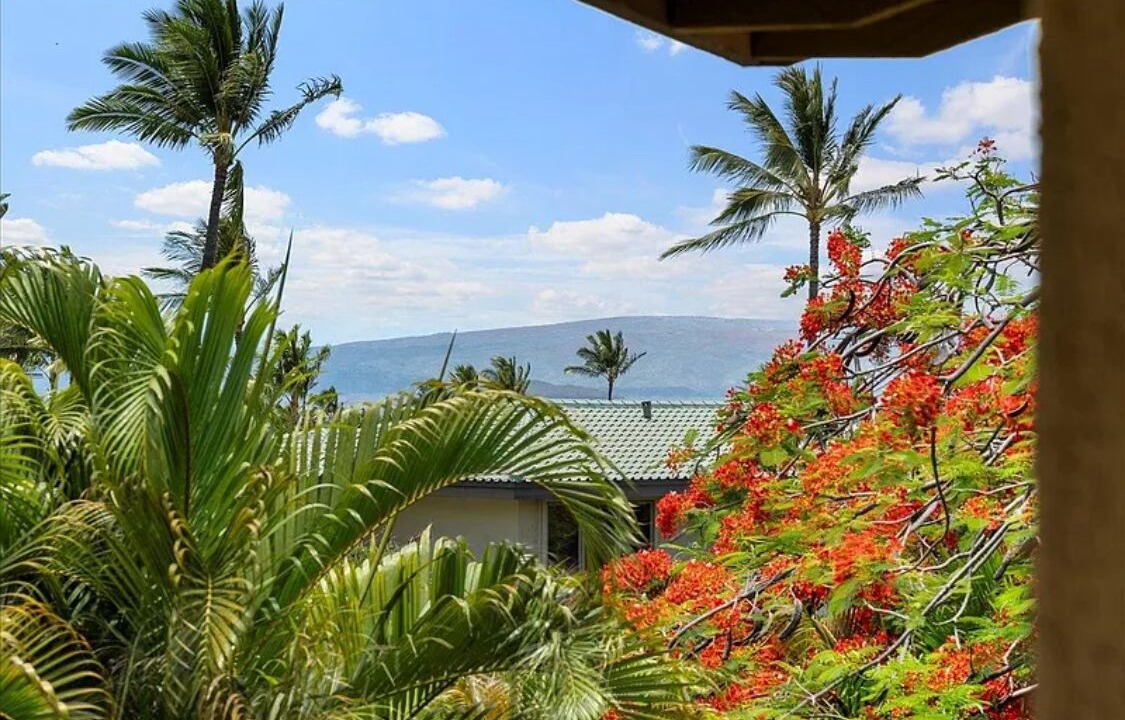 Photo of Outdoor in Wailea