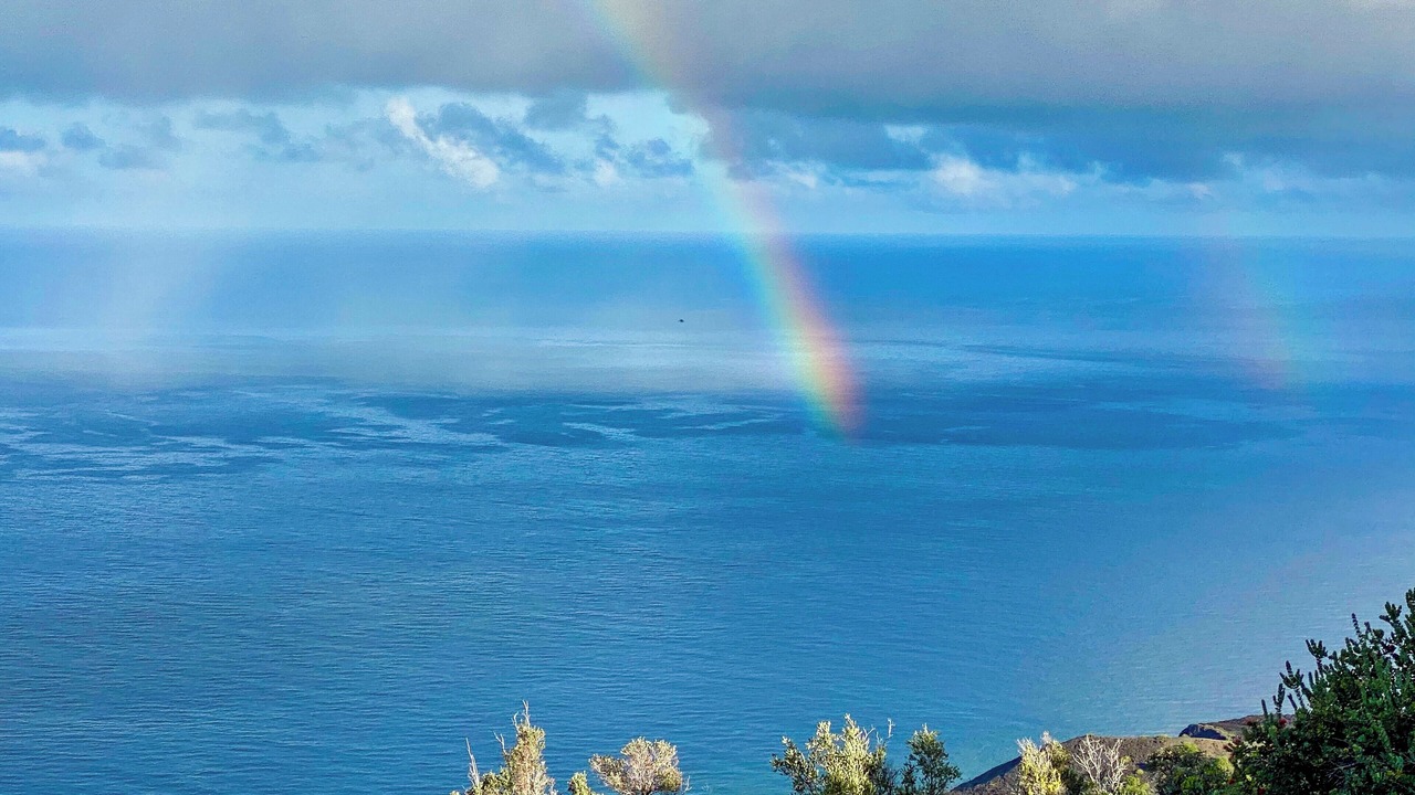 Photo of Others in Opihihale