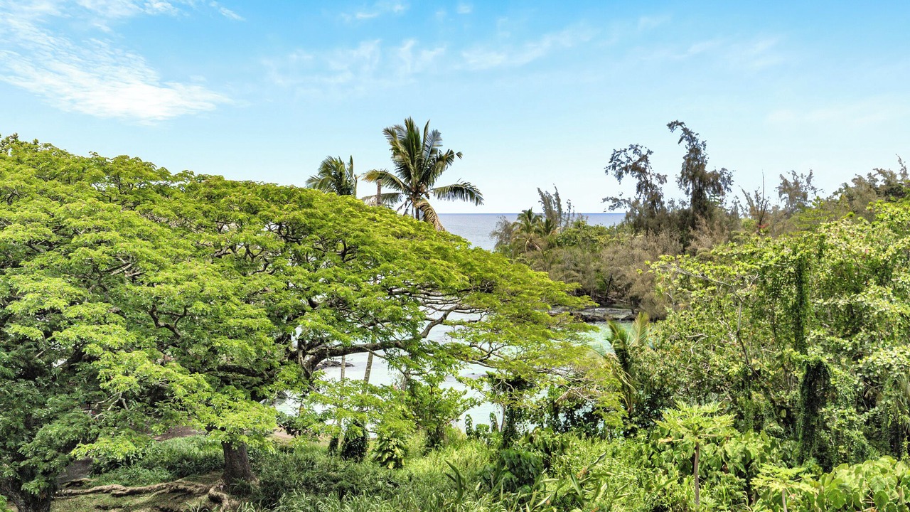 Photo of Others in Kapoho