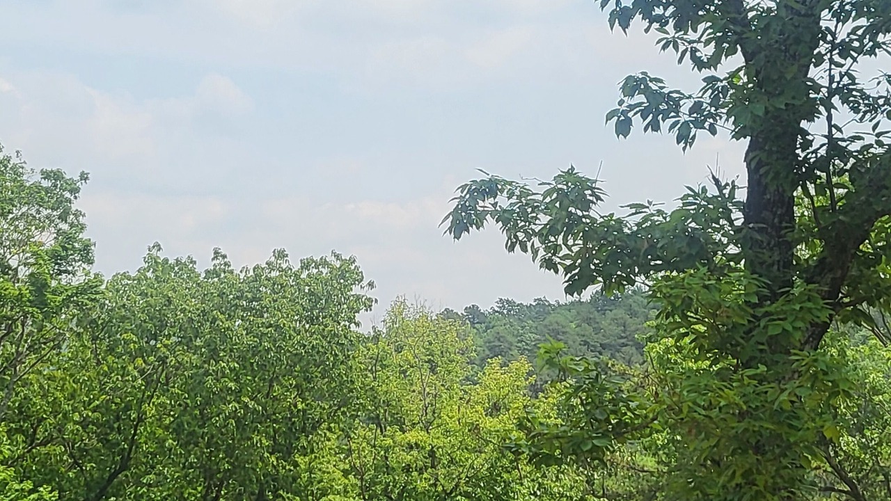 Photo of Others in Smith River