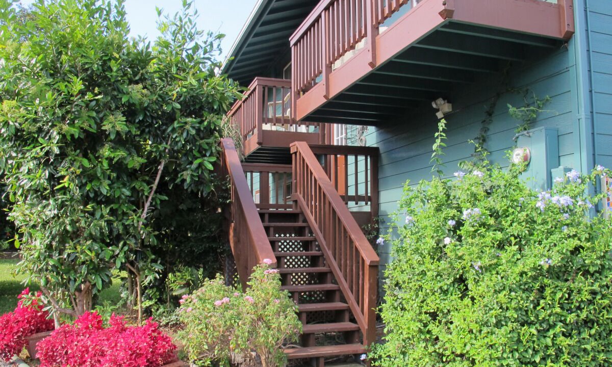 Photo of Outdoor in Pauwela