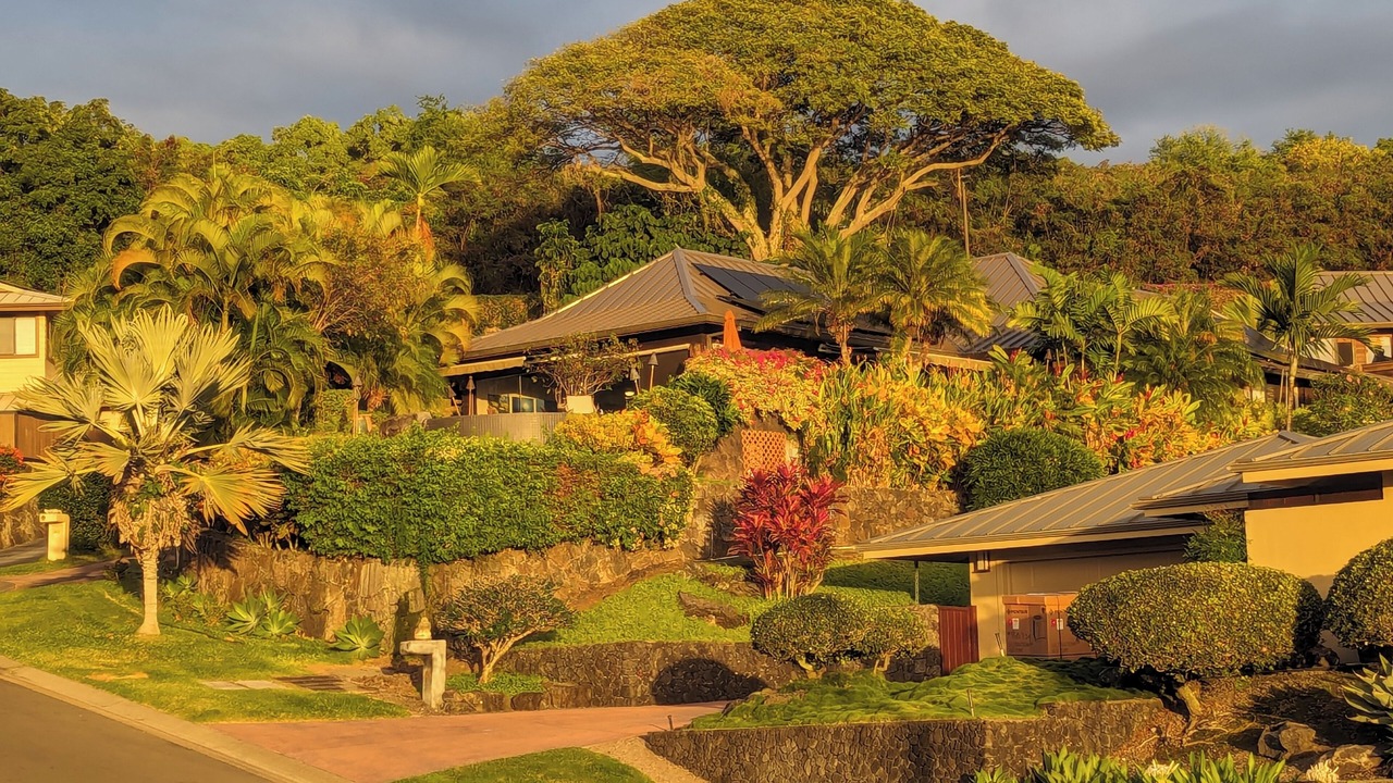 Photo of Outdoor in Kahaluu-Keauhou