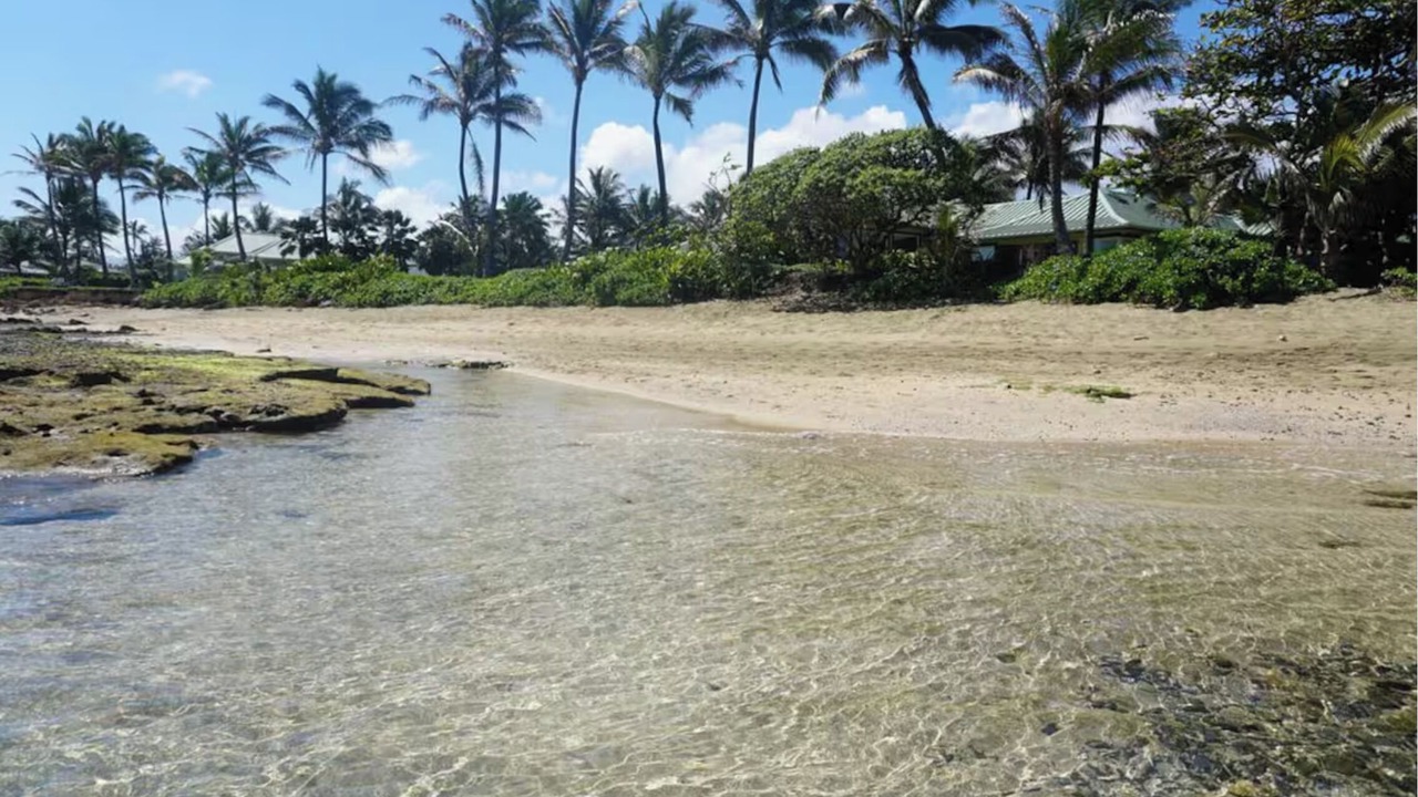 Photo of Others in Hauula