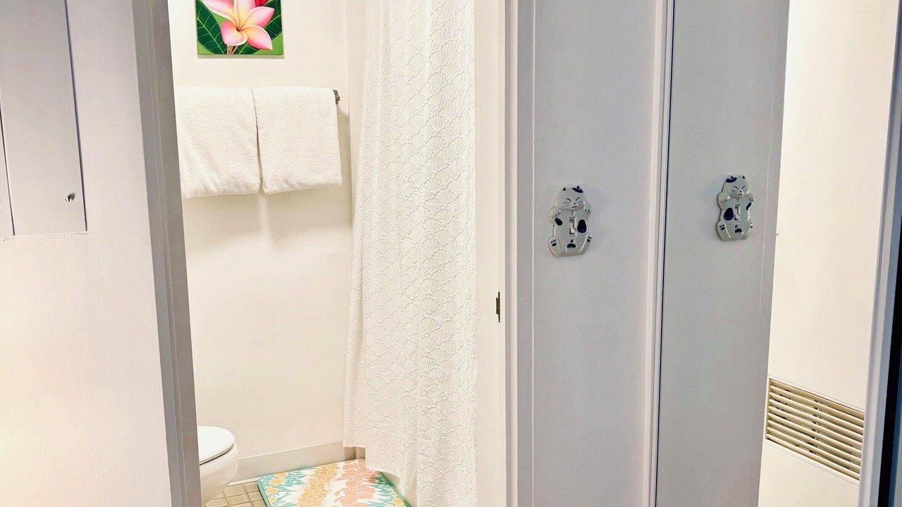 Photo of Bathroom in Hilo