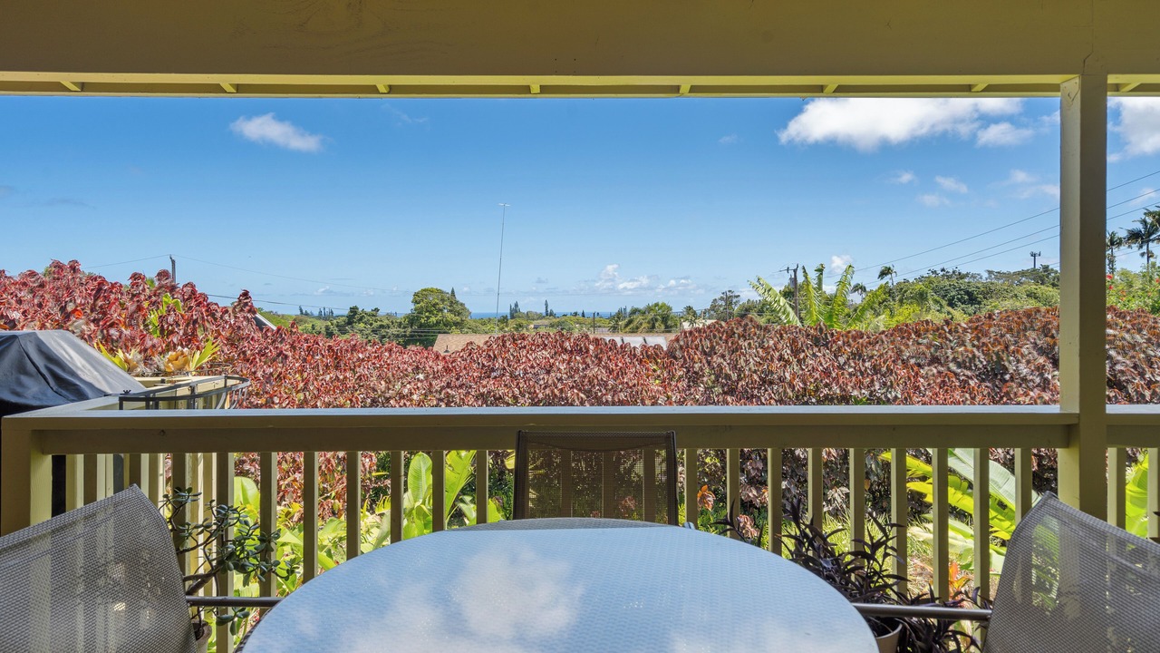 Photo of Outdoor in Haiku