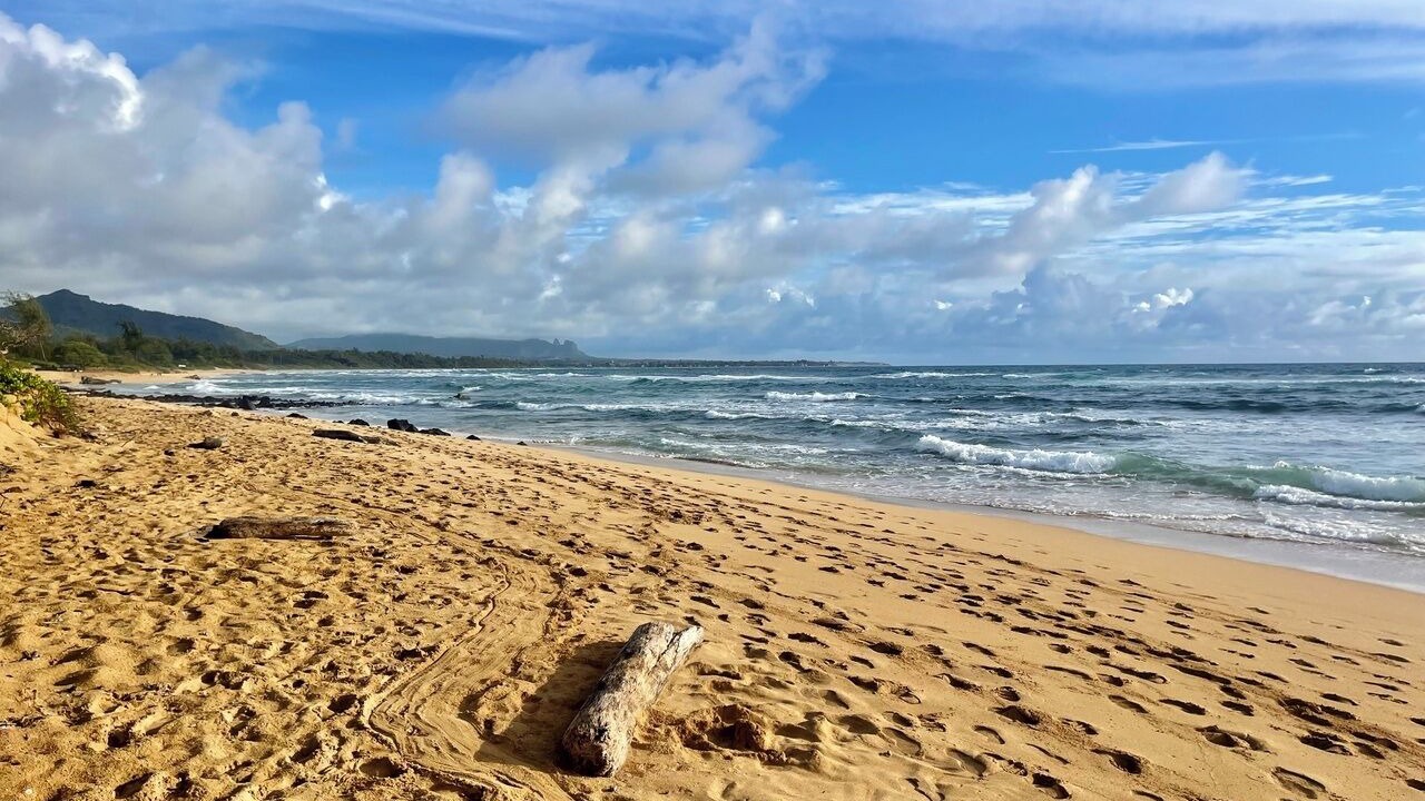 Photo of Others in Hanamaulu