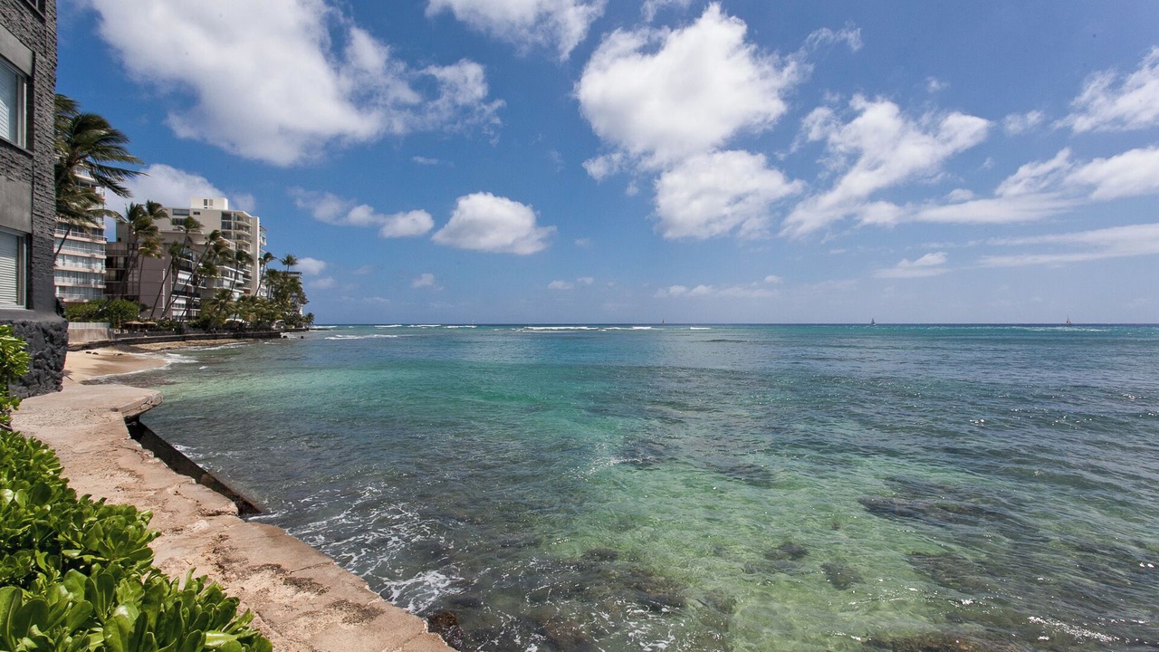 Photo of Others in Honolulu