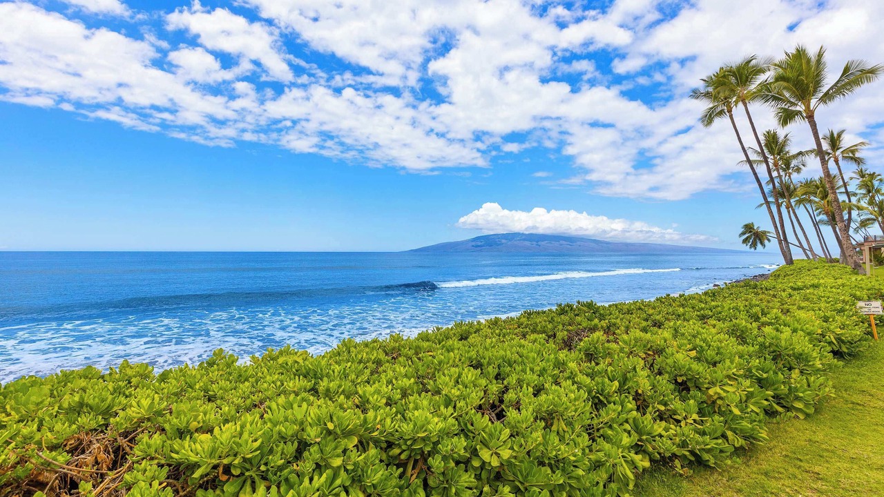 Photo of Others in Historic Lahaina Front Street