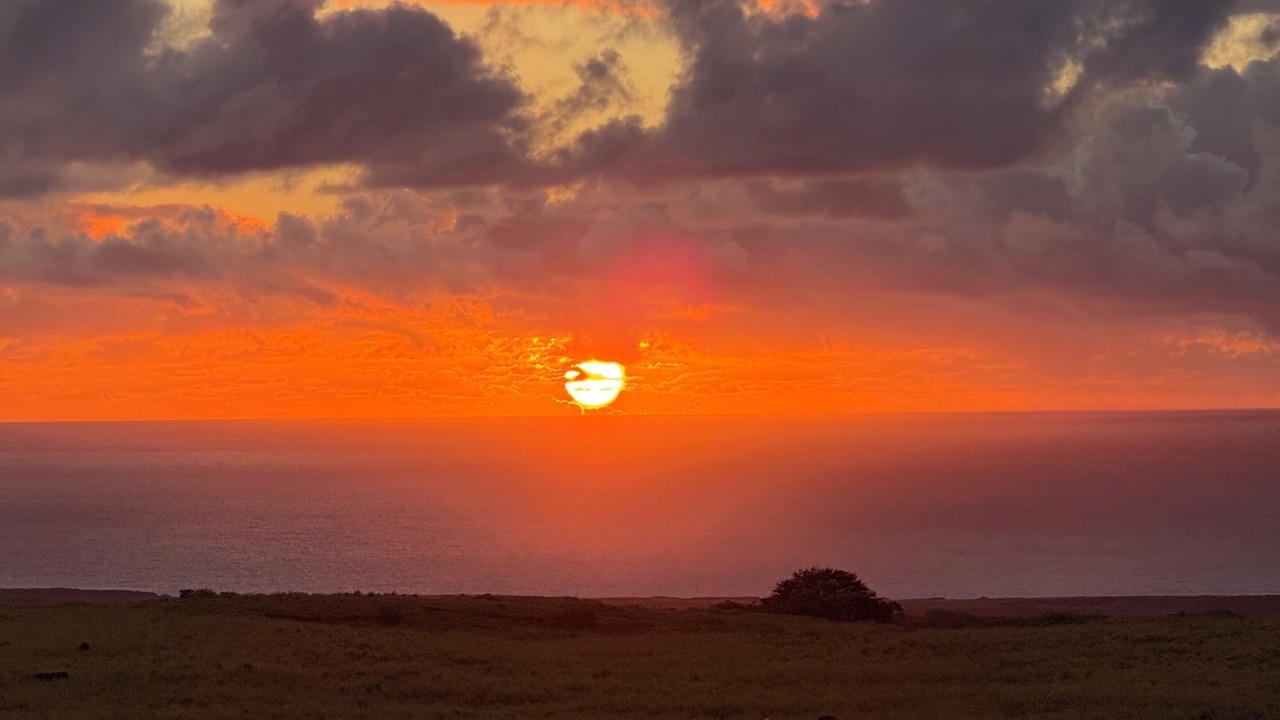 Photo of Others in Naalehu
