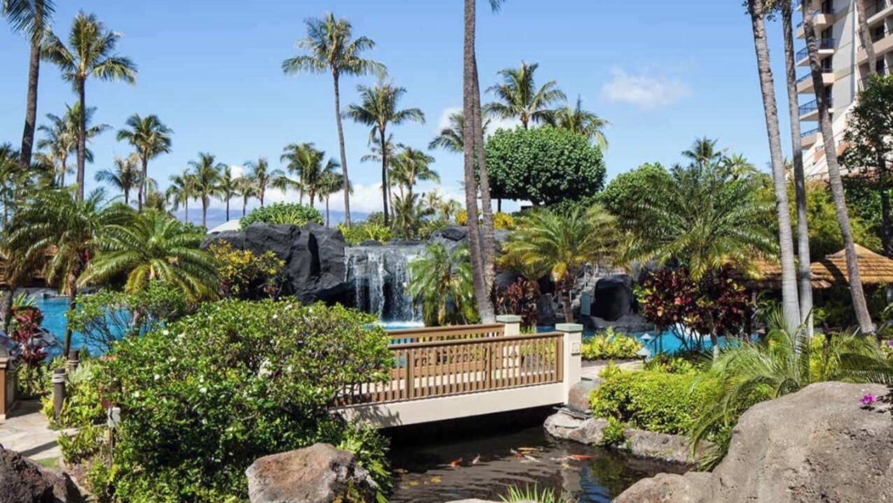 Photo of Outdoor in Lahaina