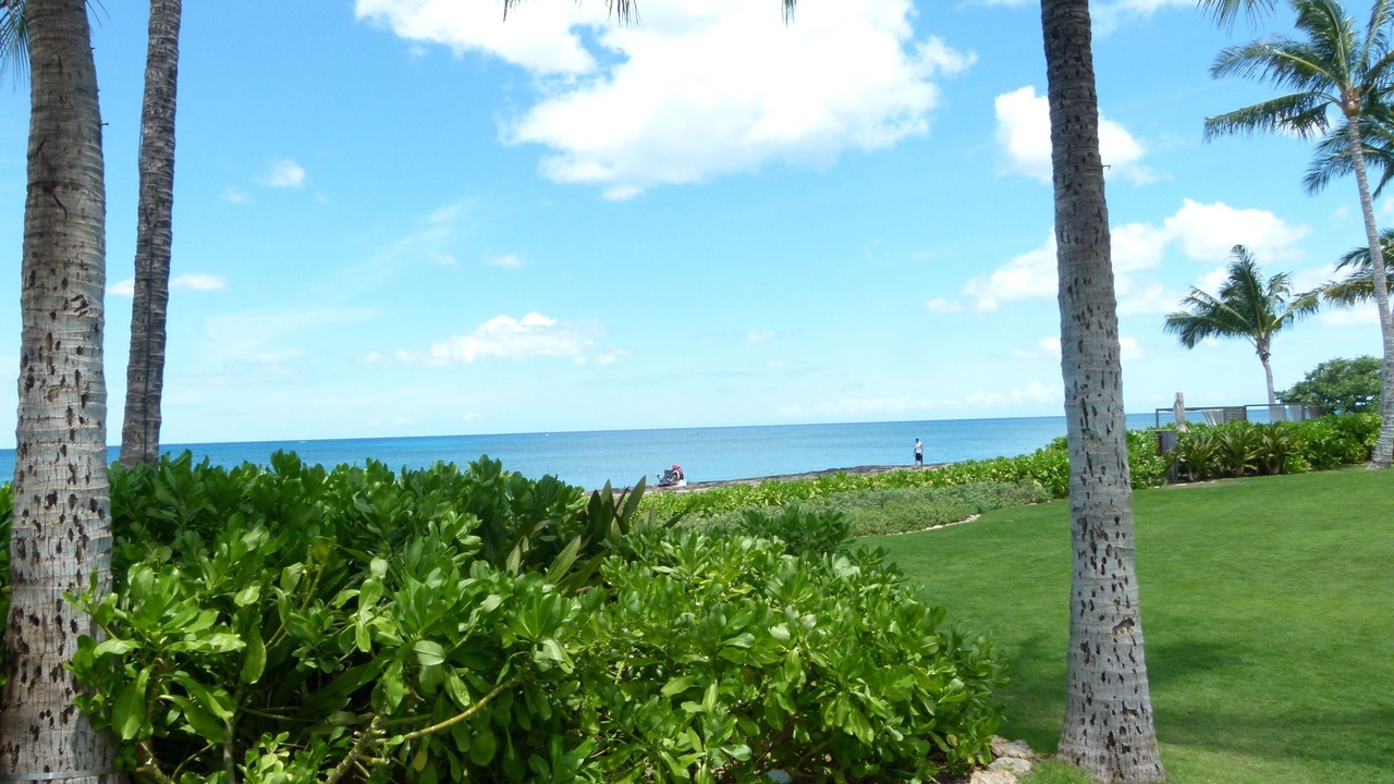 Photo of Outdoor in Kamuela