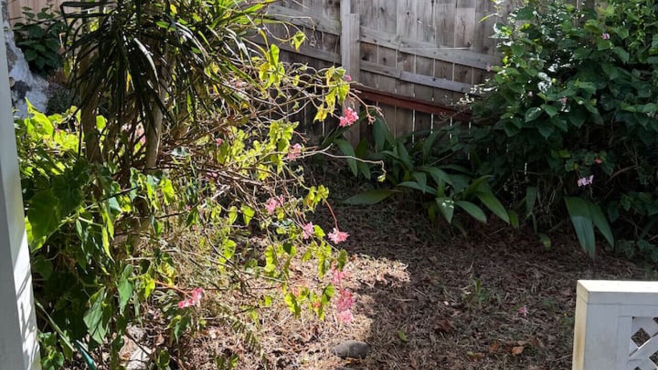 Photo of Outdoor in Waimea