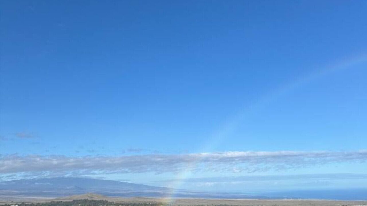 Photo of Others in Waimea
