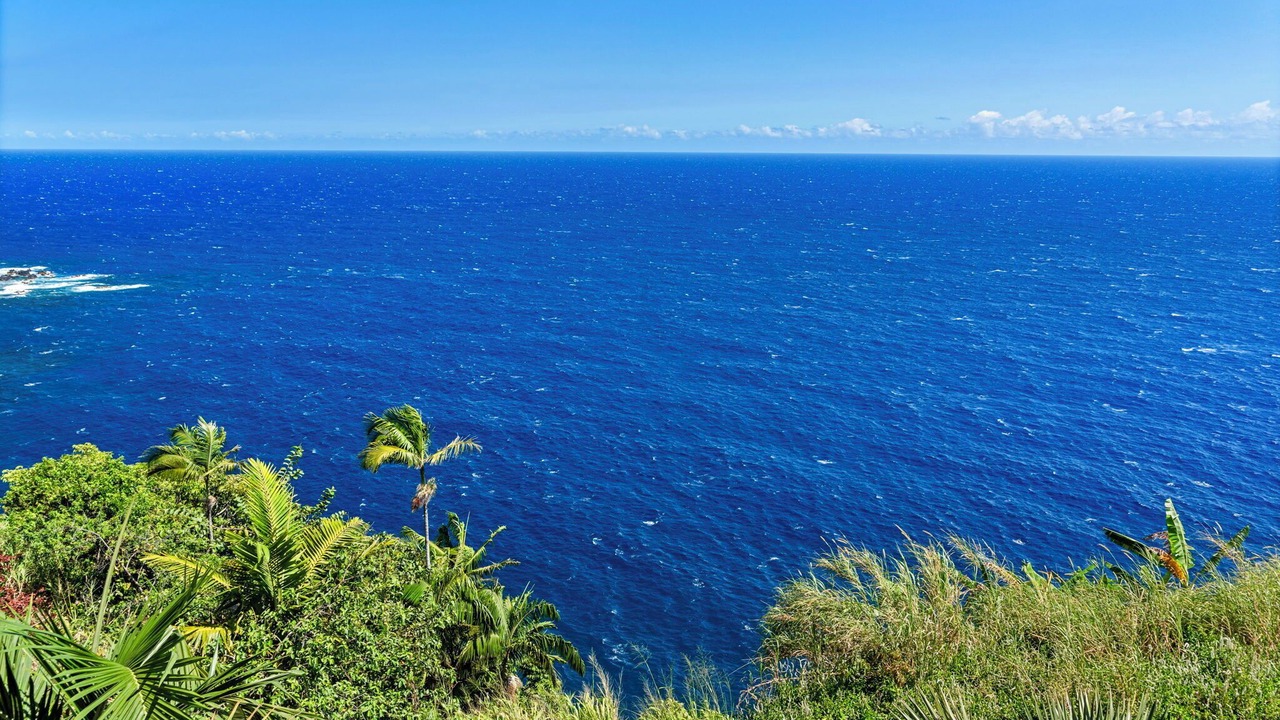 Photo of Others in Laupahoehoe
