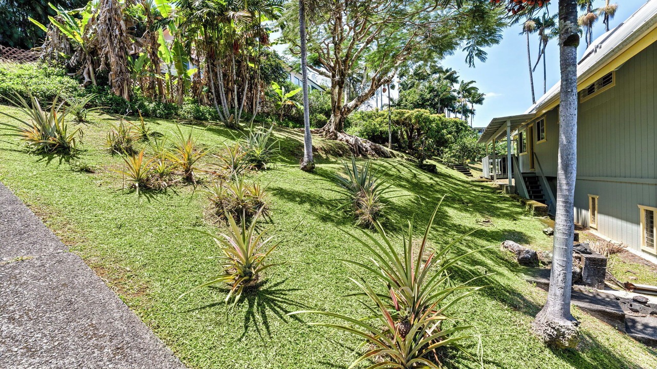 Photo of Outdoor in Laupahoehoe