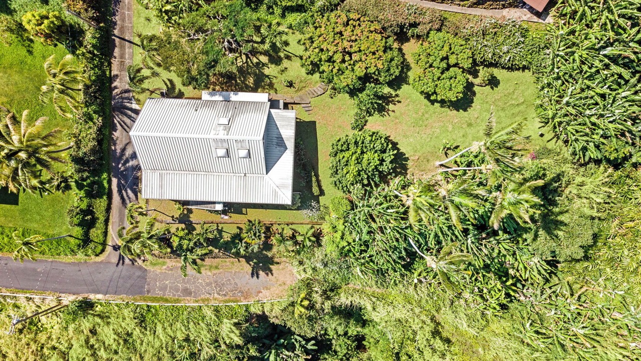 Photo of Outdoor in Laupahoehoe