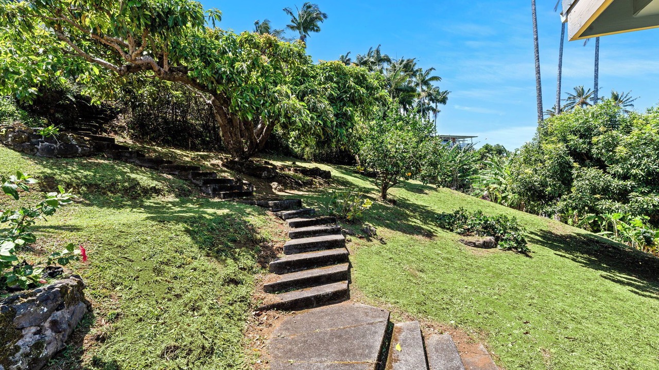 Photo of Outdoor in Laupahoehoe