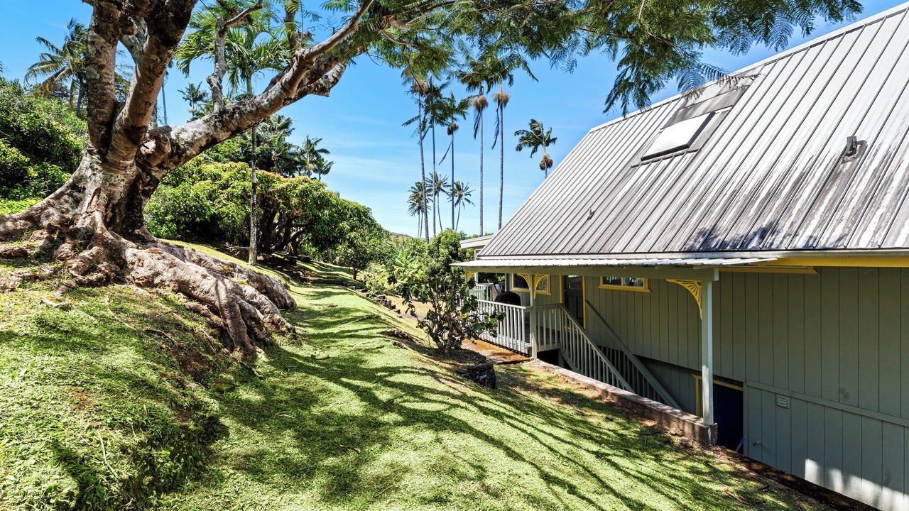 Photo of Outdoor in Laupahoehoe