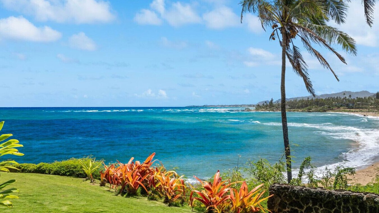 Photo of Others in Wailua