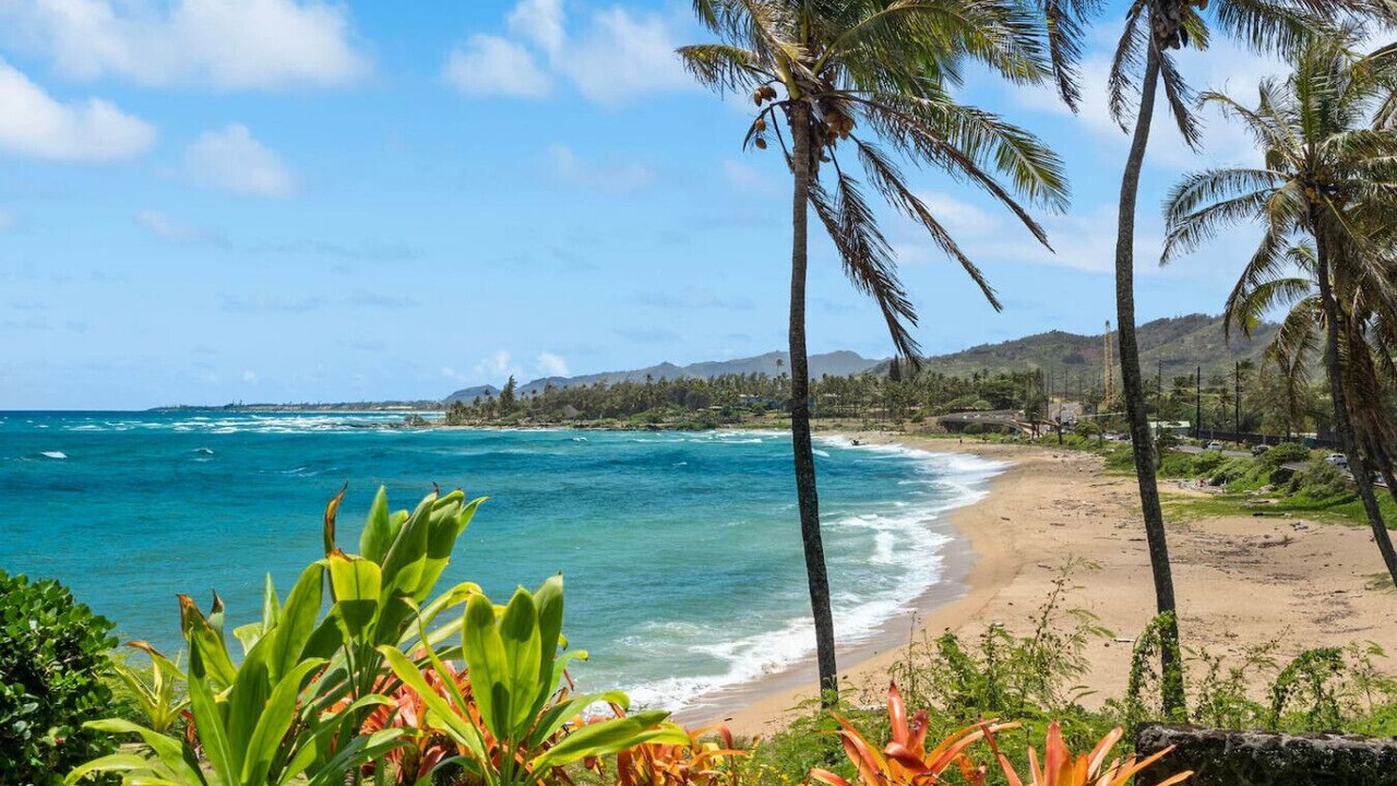 Photo of Others in Wailua