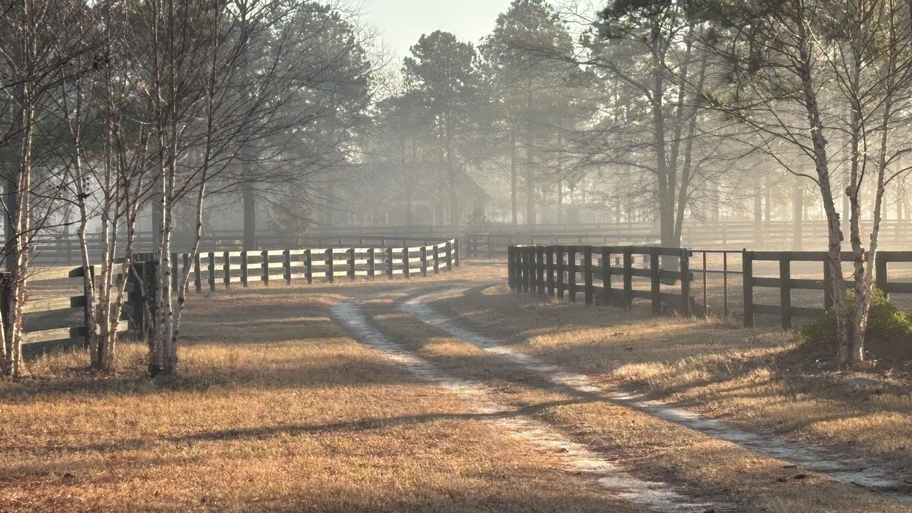 Photo of Others in Aiken
