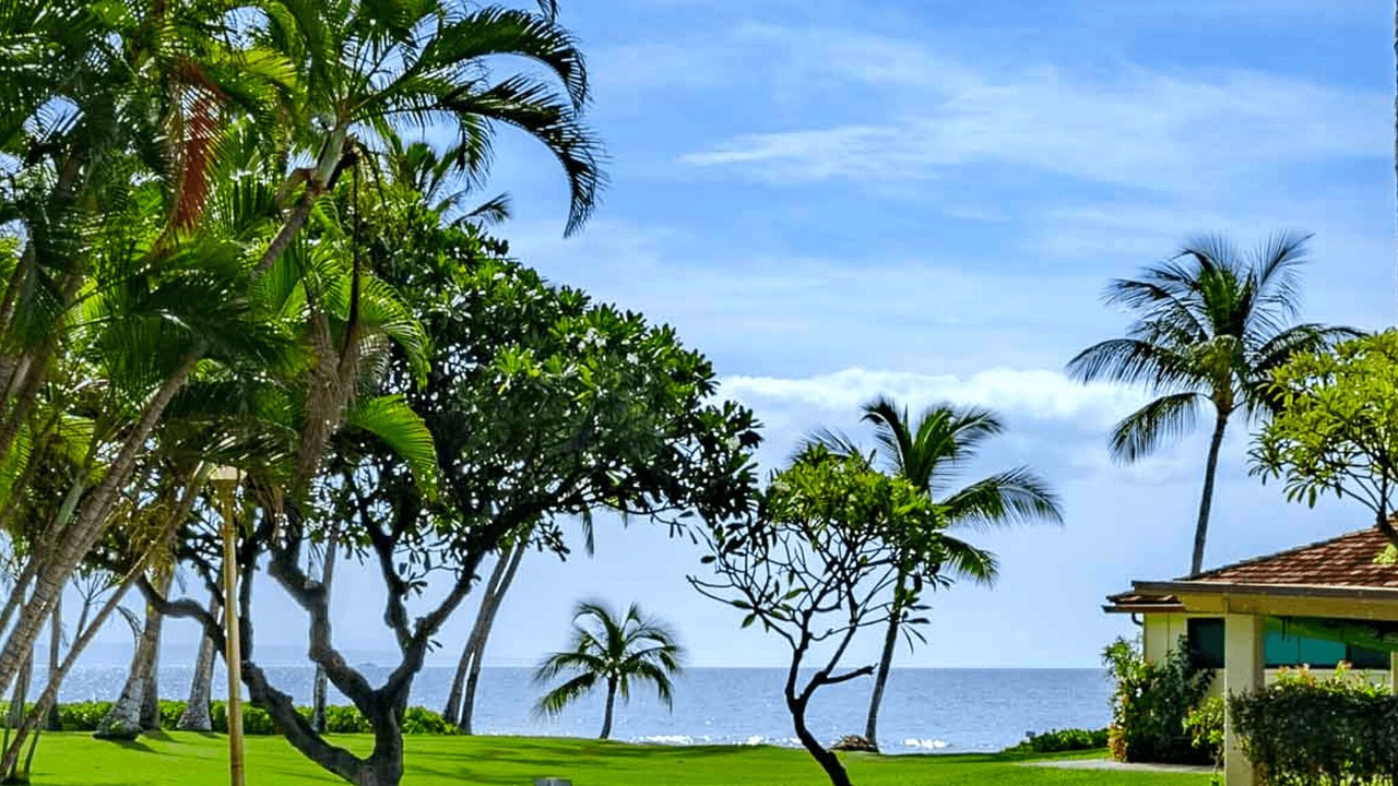 Photo of Outdoor in Downtown Lahaina