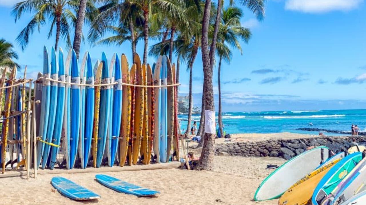 Photo of Others in Waikiki