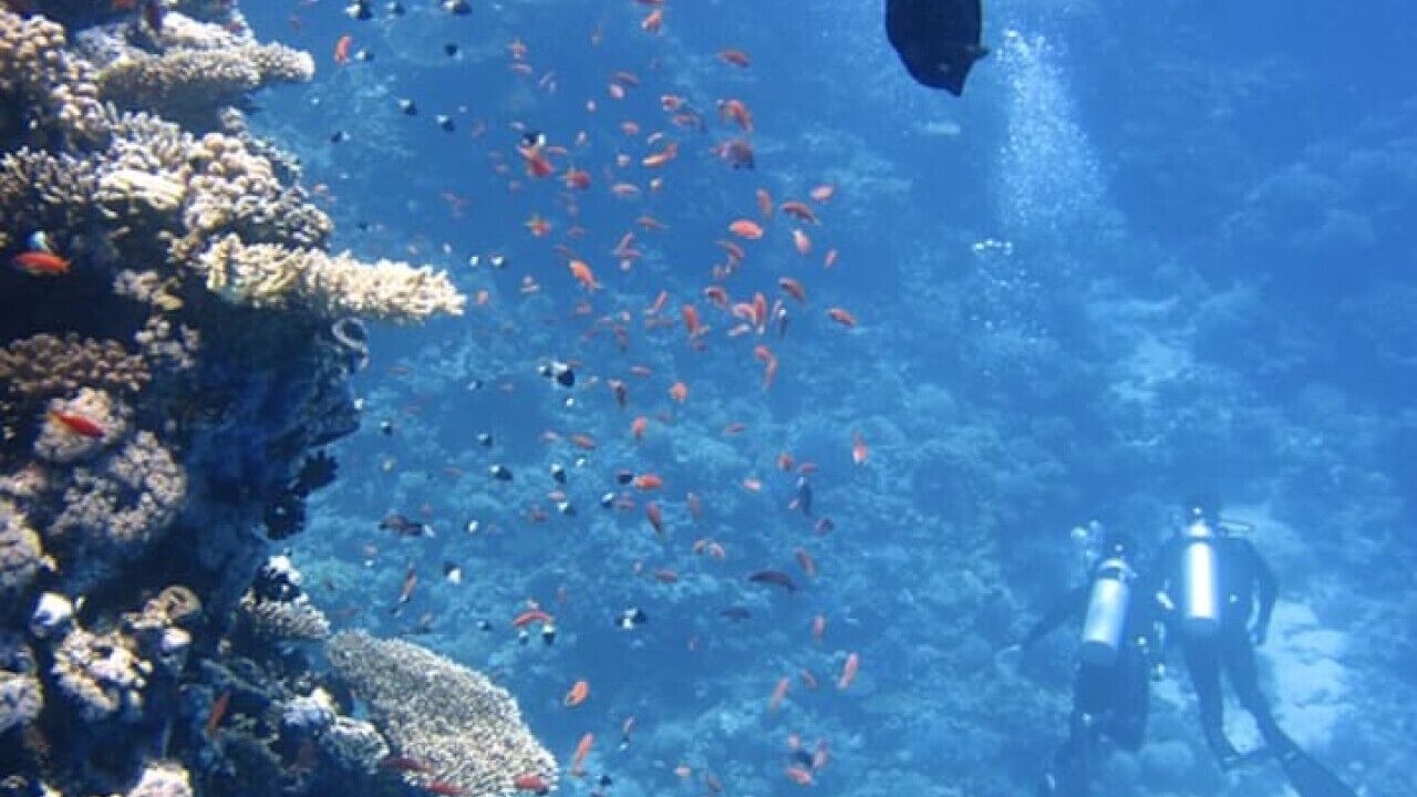 Photo of Others in Waikiki
