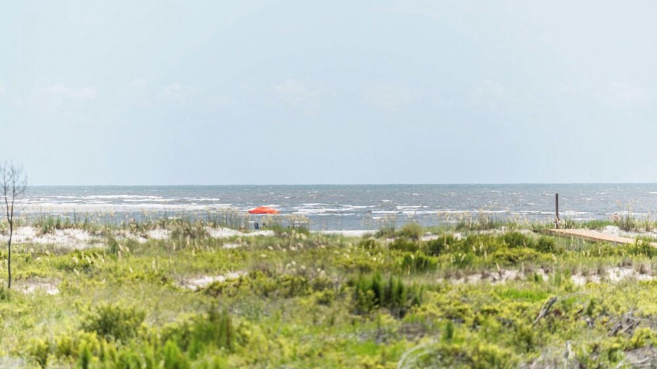 Photo of Others in Saint Helena Island
