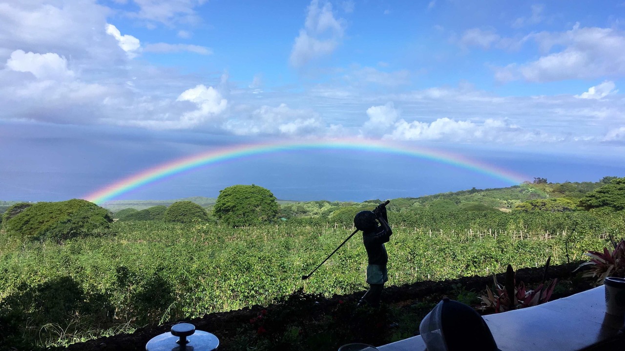 Photo of Others in Kealakekua