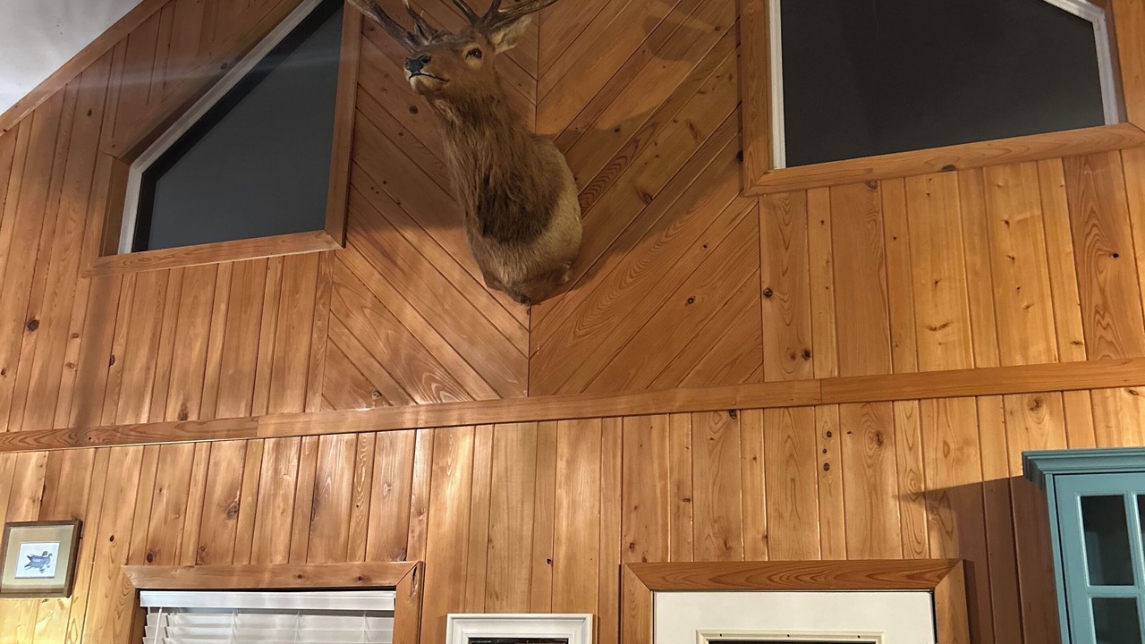 Photo of Others in Lincolnton